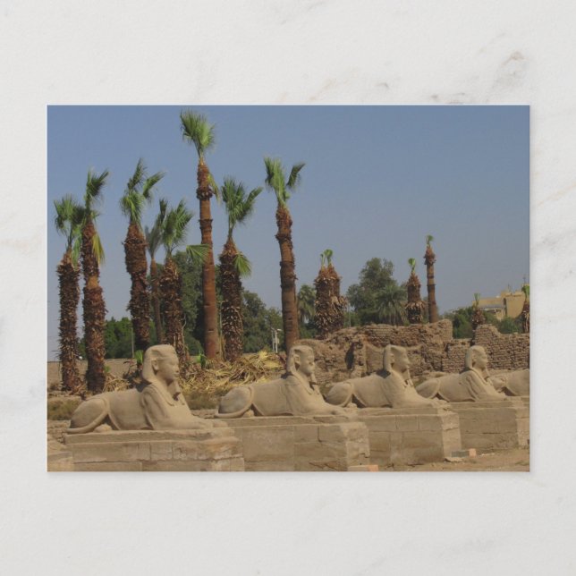 Avenue des sphinx - Ancienne carte postale de l'Eg (Devant)
