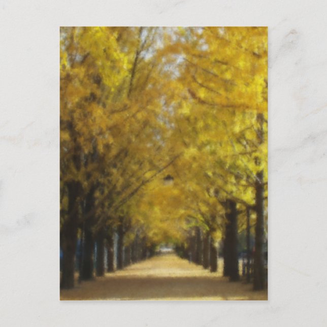Avenue of autumn postcard (Front)