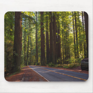 Avenue of Giant Redwood California Mouse Pad