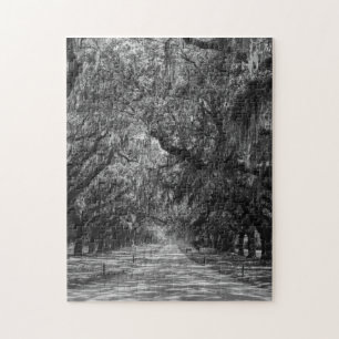 Avenue Of Oaks Grayscale Jigsaw Puzzle