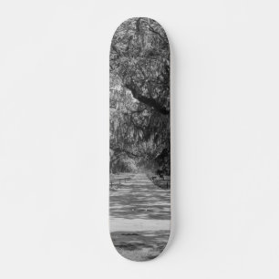Avenue Of Oaks Grayscale Skateboard