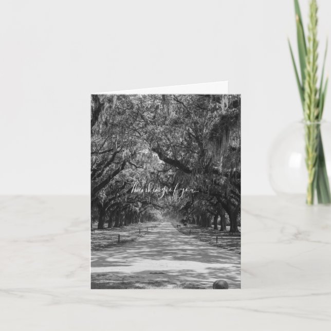 Avenue Of Oaks Grayscale Thinking Of You Card (Front)