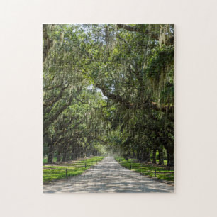 Avenue Of Oaks Jigsaw Puzzle