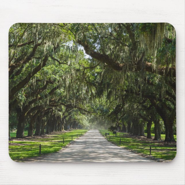 Avenue Of Oaks Mouse Pad (Front)