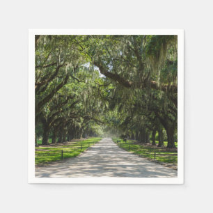 Avenue Of Oaks Napkin