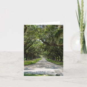 Avenue Of Oaks Thank You Card