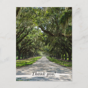 Avenue Of Oaks Thank You Postcard