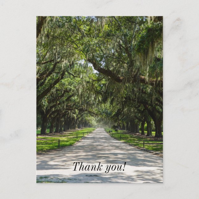 Avenue Of Oaks Thank You Postcard (Front)
