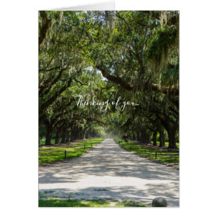 Avenue Of Oaks Thinking Of You Card
