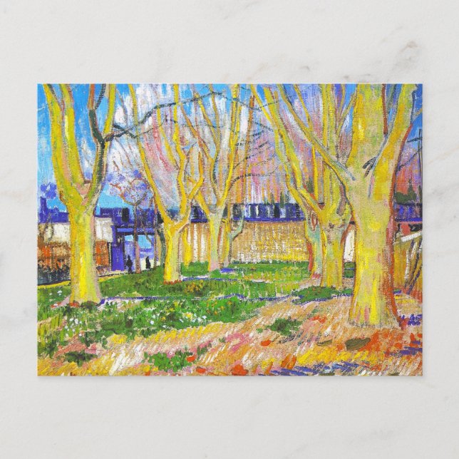 Avenue of Plane Trees near Arles Station by Vincen Postcard (Front)