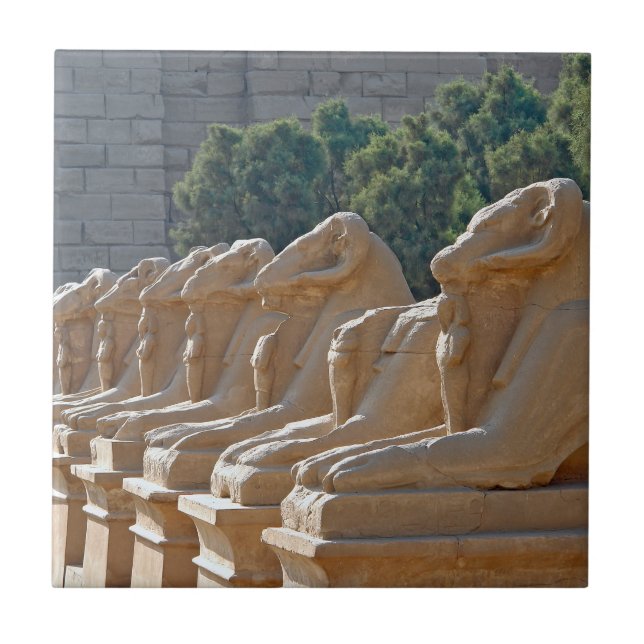 Avenue of Sphinxes in Karnak Temple - Egypt Tile (Front)