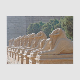 Avenue of Sphinxes in Karnak Temple - Egypt Tissue Paper