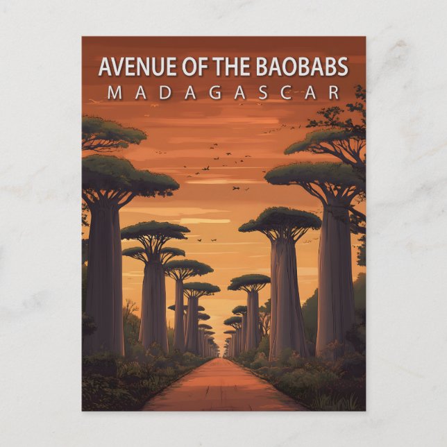 Avenue of the Baobabs Madagascar African Nature Postcard (Front)
