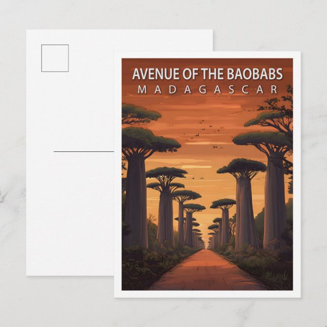 Avenue of the Baobabs Madagascar Art Travel Postcard (Front/Back)