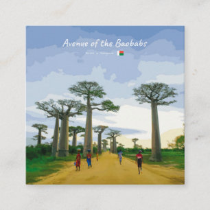 Avenue of the Baobabs, Madagascar - Landscape Square Business Card