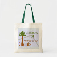 Avenue of the Giants, US Highway 101, California