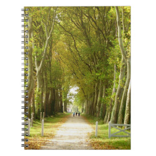 Avenue of Trees Photo Notebook