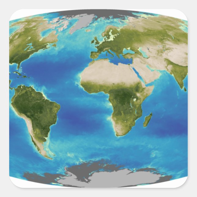 Average plant growth of the Earth Square Sticker (Front)