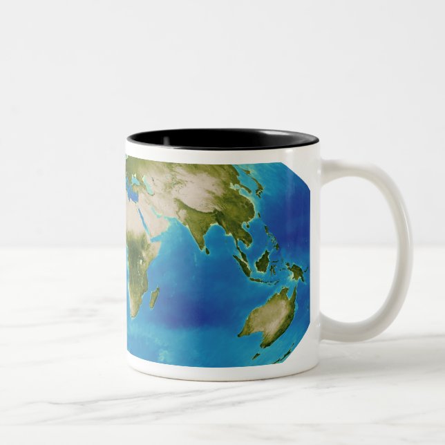 Average plant growth of the Earth Two-Tone Coffee Mug (Right)