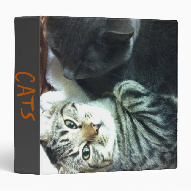 Avery Signature Binder Cats (Front/Spine)