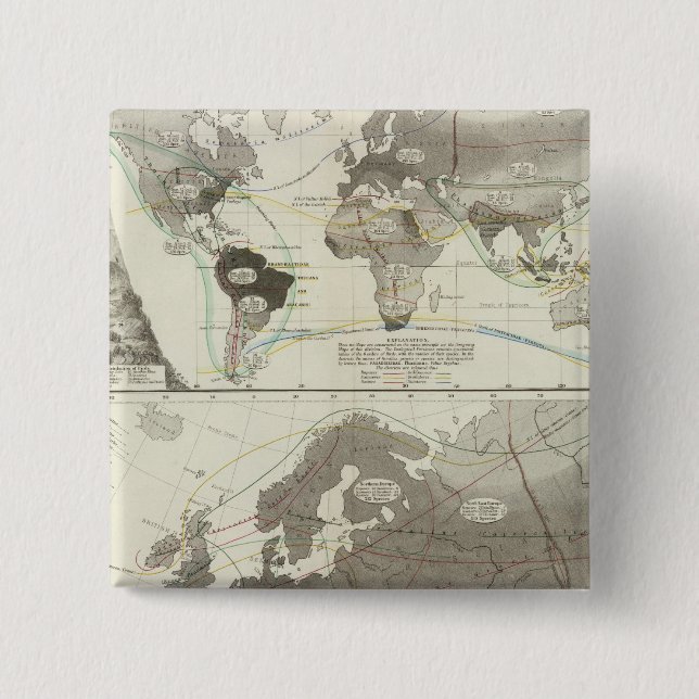 Aves, Birds 2 Inch Square Button (Front)