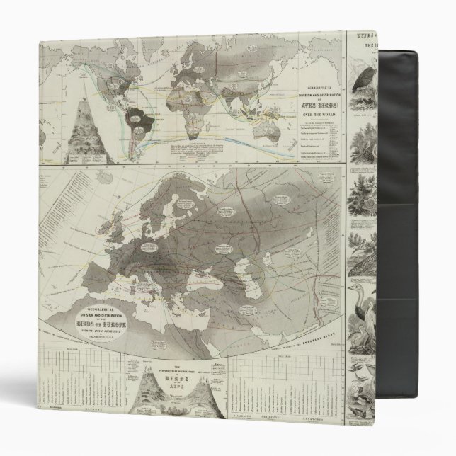 Aves, Birds Binder (Front/Inside)