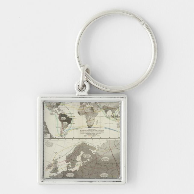 Aves, Birds Keychain (Front)