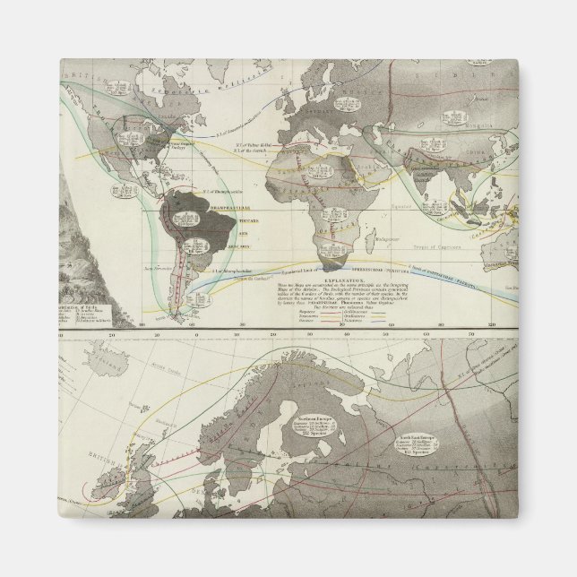 Aves, Birds Magnet (Front)