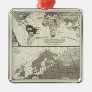 Aves, Birds Metal Ornament
