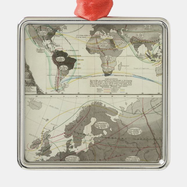Aves, Birds Metal Ornament (Front)