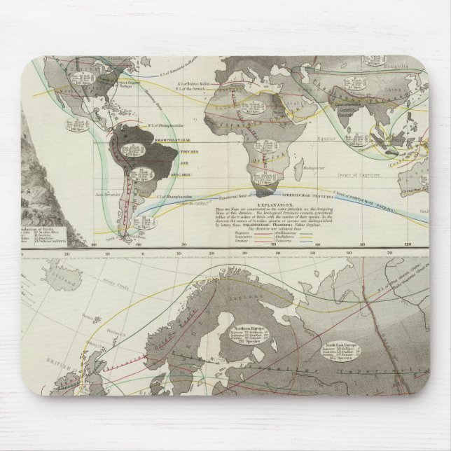 Aves, Birds Mouse Pad (Front)