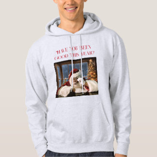 Avez-vous été bon cette année ? Sweat à capuche