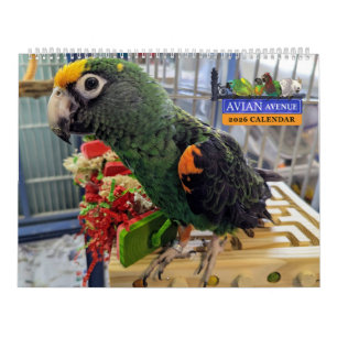Avian Avenue 2026 Parrot Calendar