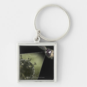 Avian flu coming out of bird keychain