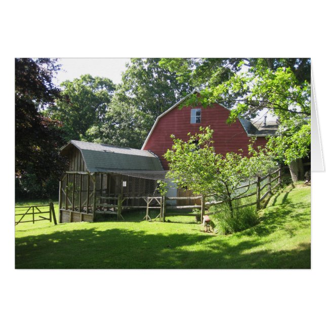 Aviary (Front Horizontal)