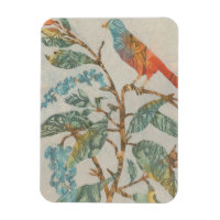 Aviary Collage II