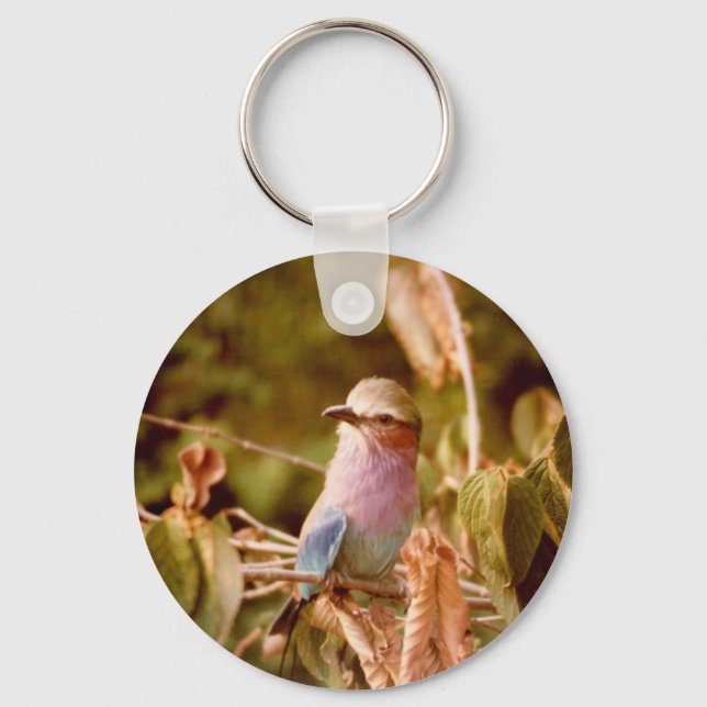 Aviary Keychain (Front)
