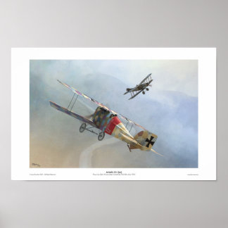 Aviatik D.I Poster