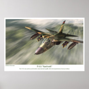 aviation Art Poster " F-111 Aardvark"