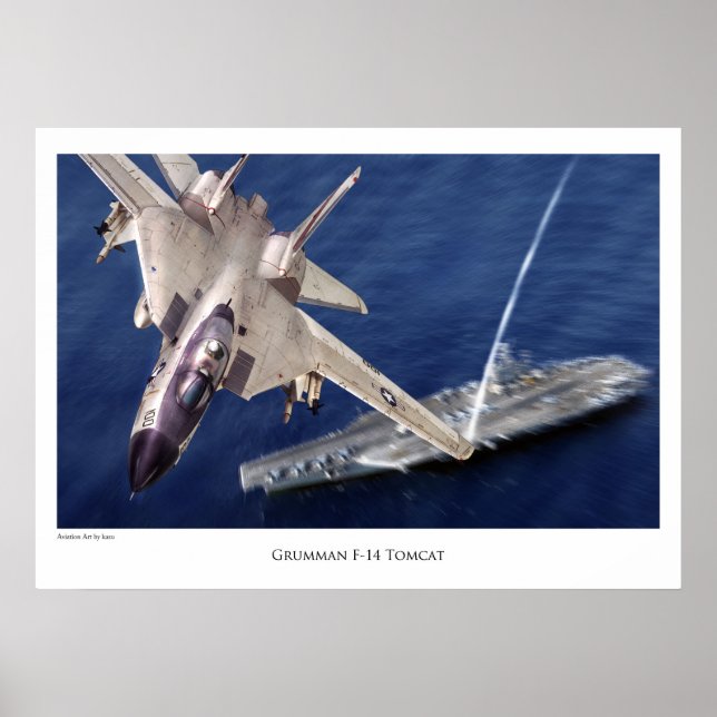 Aviation Art Poster "F-14 Tomcat" (Front)