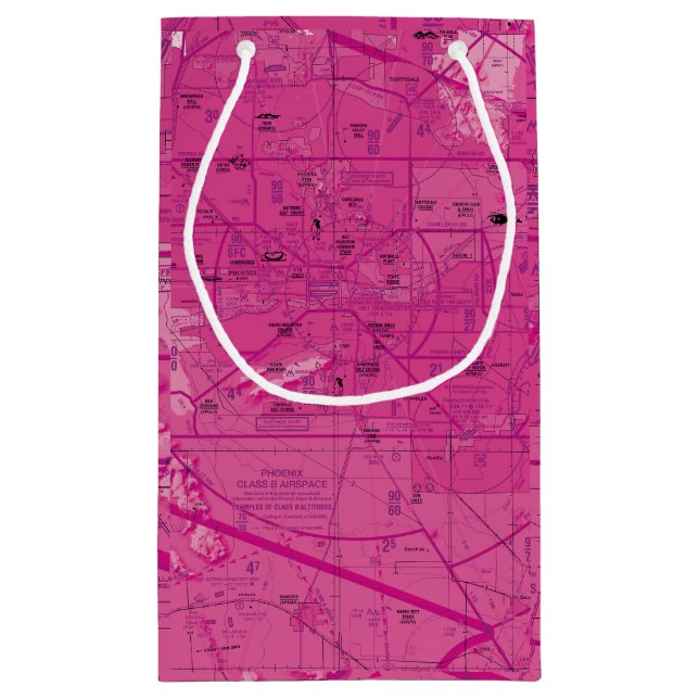 Aviation Chart Small Gift Bag (Back)