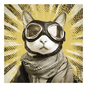 Aviator Cat Goggles Sunburst Portrait Photo Print