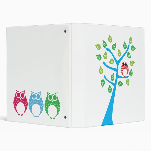 Aviator Owl Binder (Background)