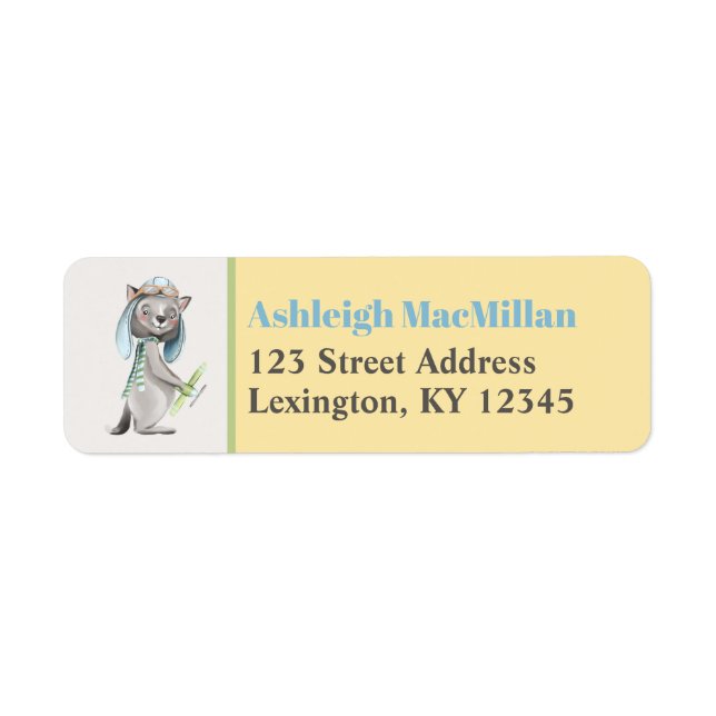 Aviator Wolf With Plane Baby Shower Return Address (Front)