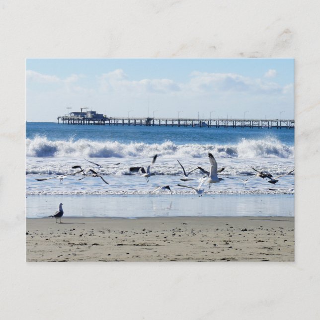 Avila Beach Postcard (Front)