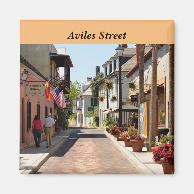 Aviles street St. Augustine, Florida  Magnet (Front)
