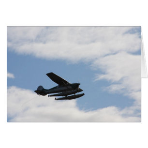 Avion de mer Sillhouette