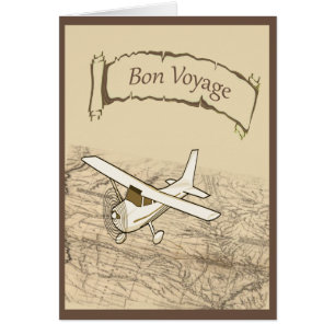 Avion de voyage de fève