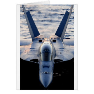 Avion militaire