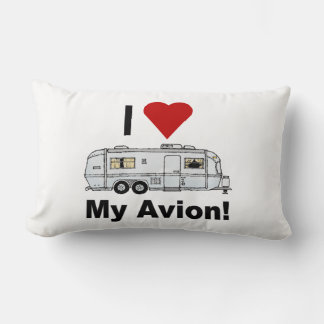 Avion Trailer Pillow, 21 inch, Reversible Lumbar Pillow
